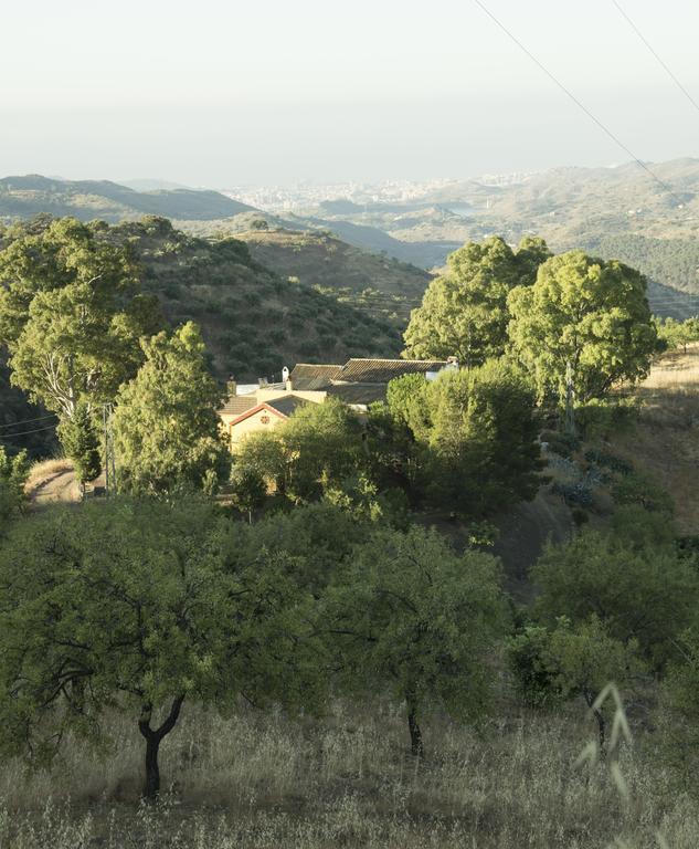 Вилла Rural Montes Malaga: Lagar Don Sancho Номер фото